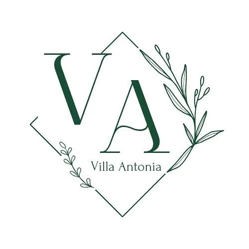 Villa Antonia Santa-Cruz de Ténérife