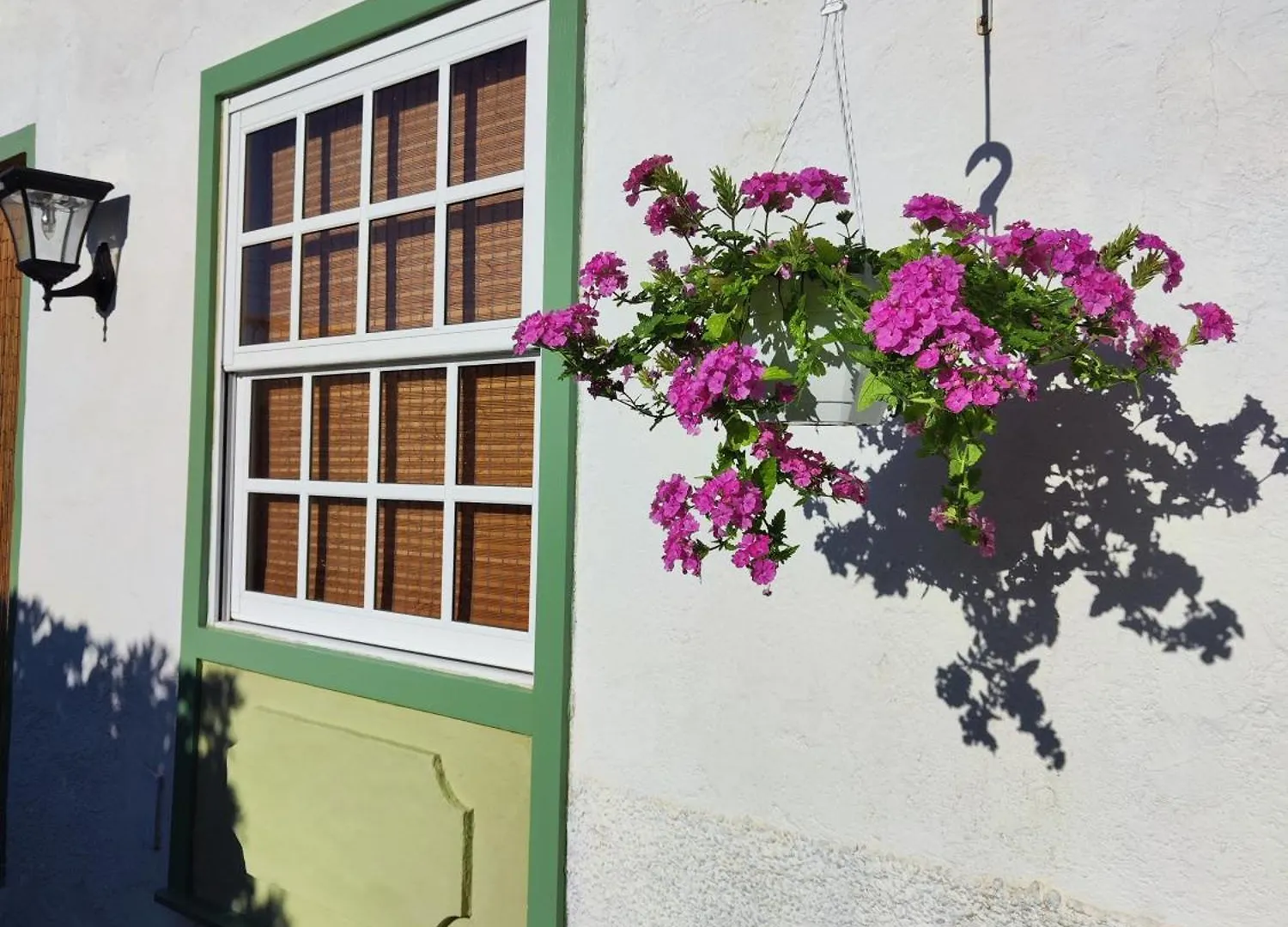 Villa Antonia Santa Cruz de Tenerife